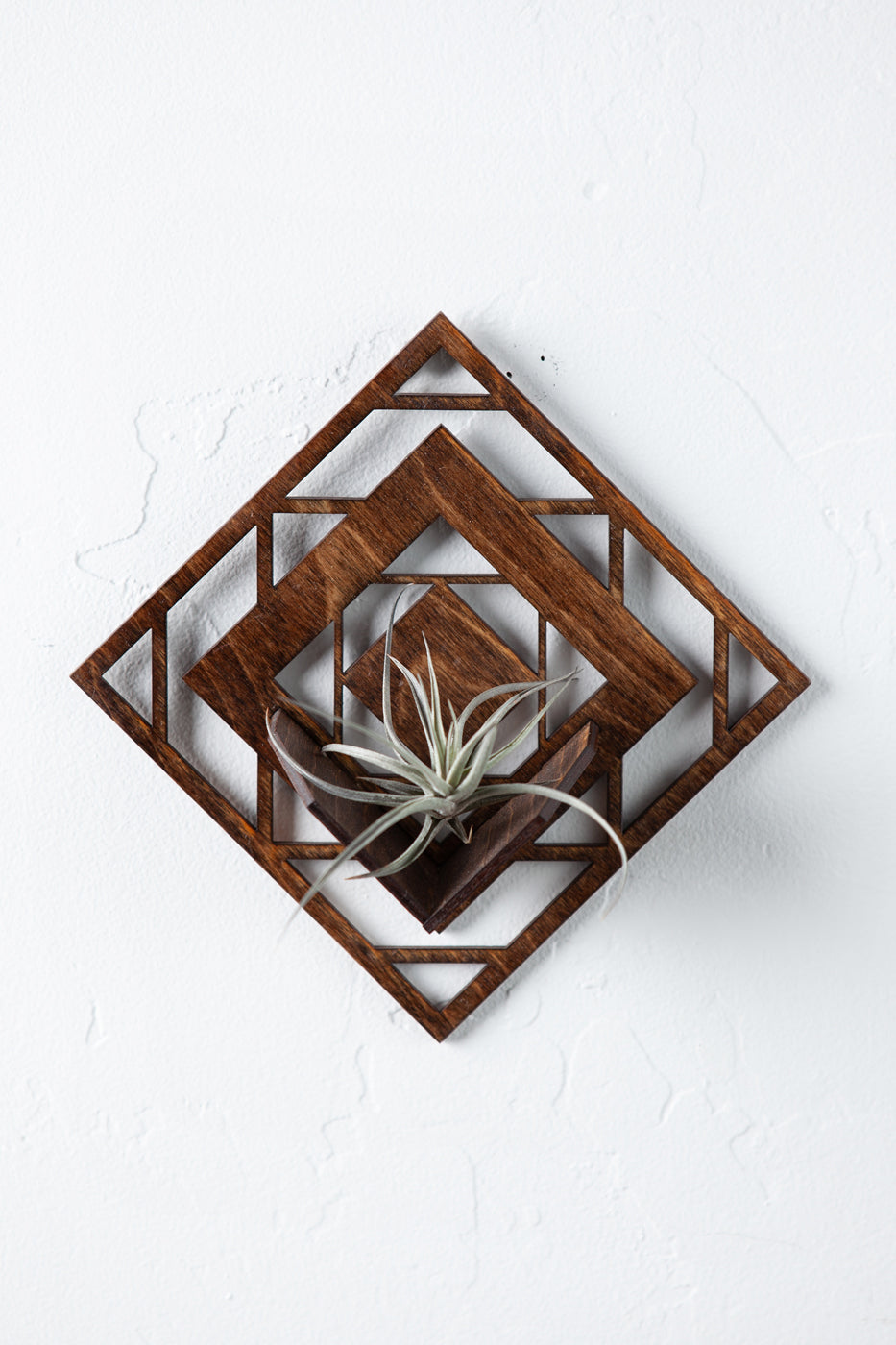 Diamond Air Plant Holder