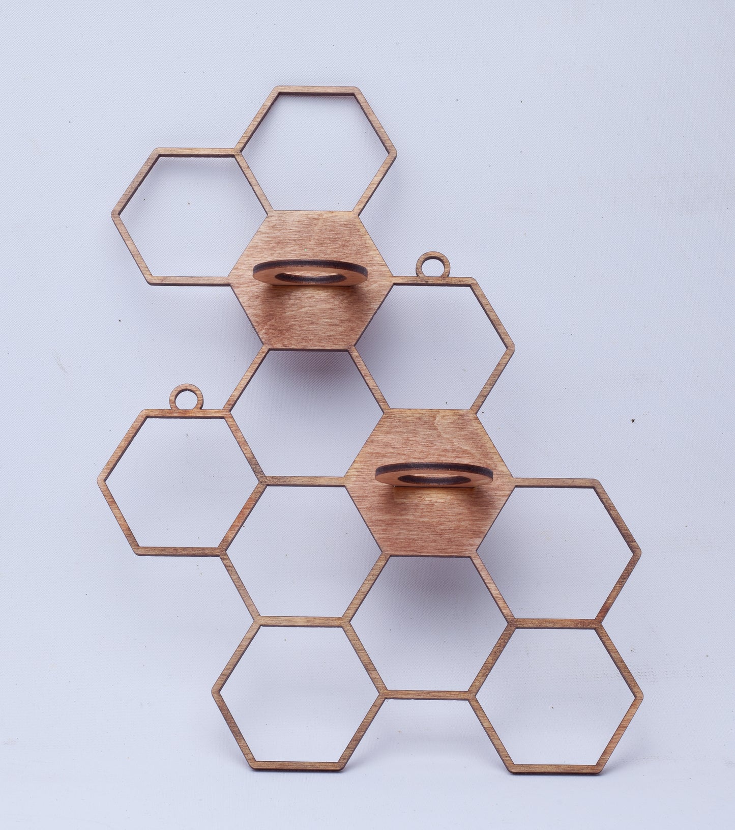 HoneyComb Propagation Starter Decor