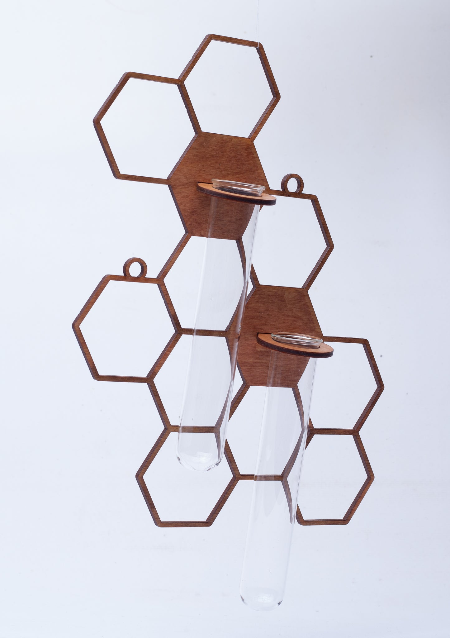 HoneyComb Propagation Starter Decor