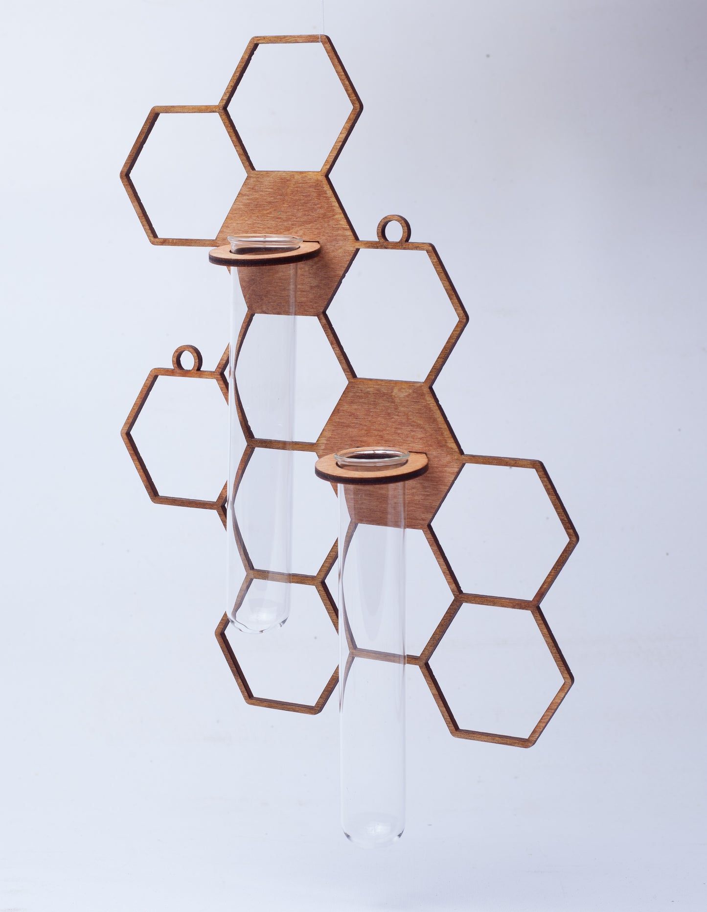 HoneyComb Propagation Starter Decor