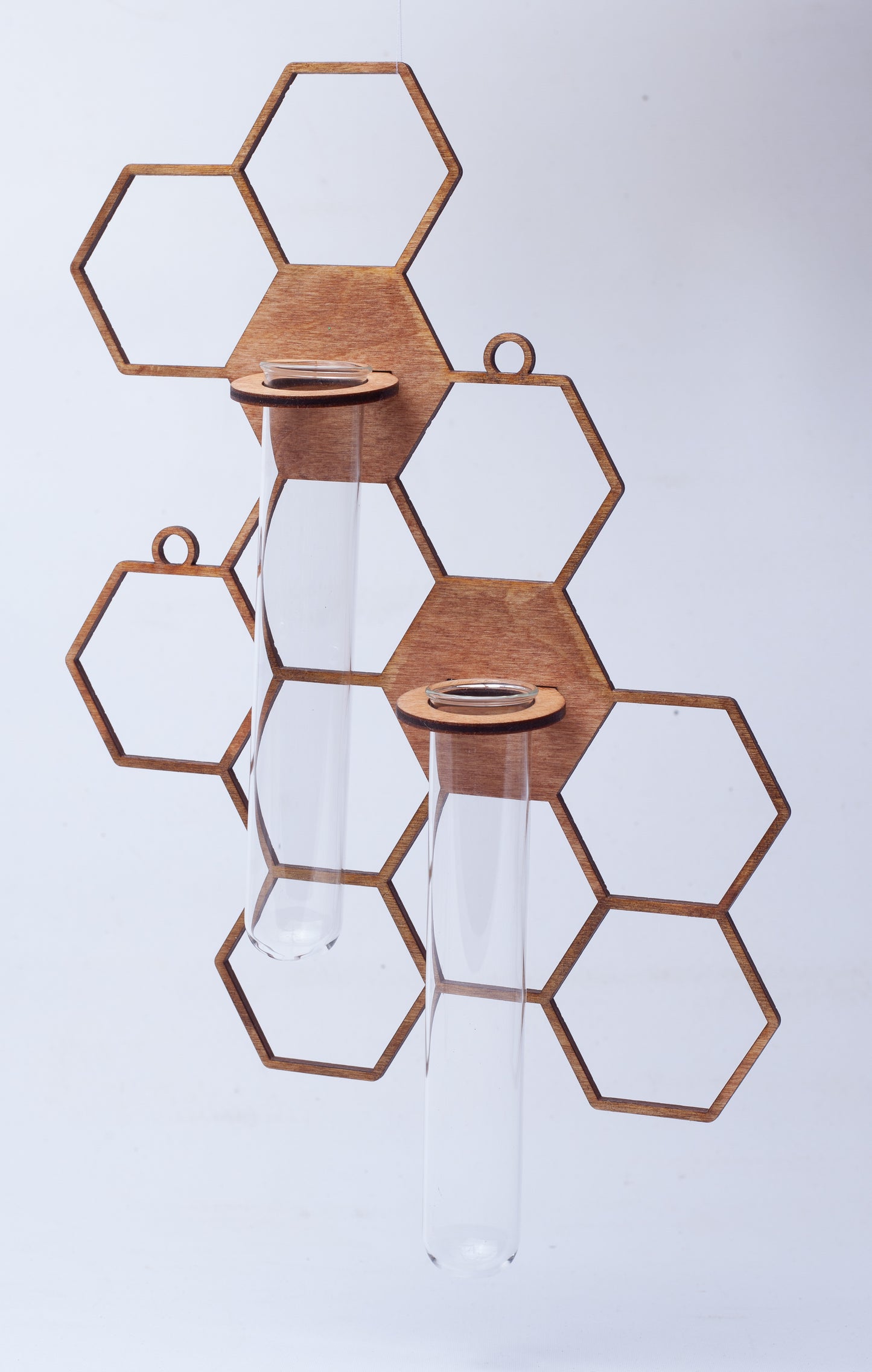 HoneyComb Propagation Starter Decor