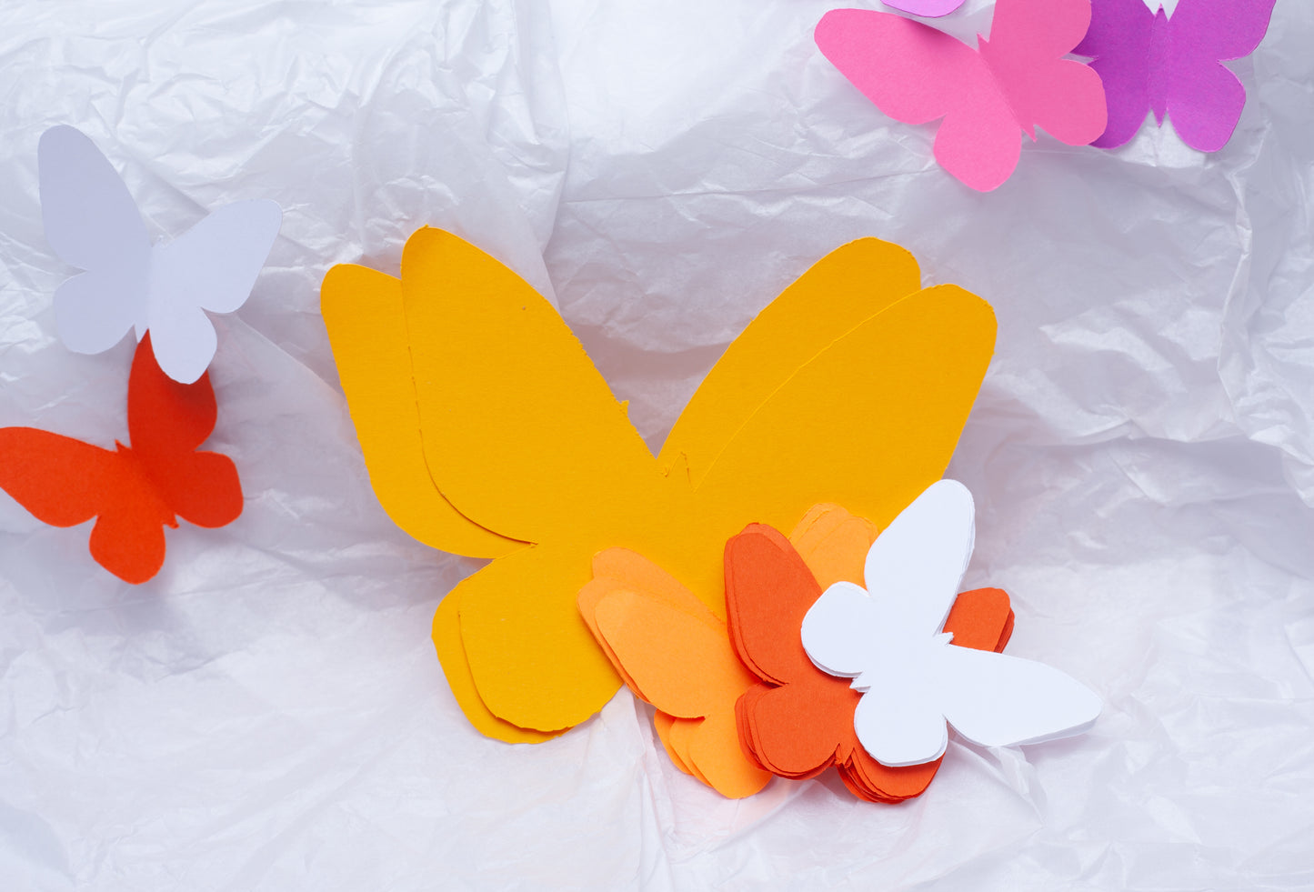 Paper Butterfly Wall Decor